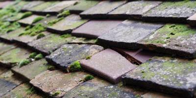 Redland End roof repair costs